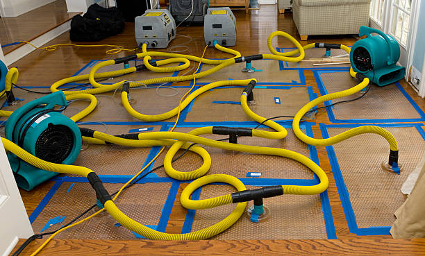 Professional Water Damage Repair technician working in Glen Oaks, NY
